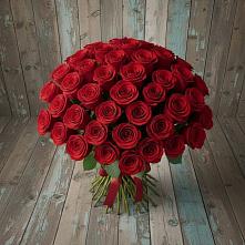 Букет 55 Красных роз Фридом #REPLACE_PRED# Ярославском