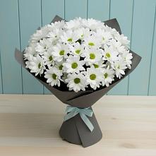 Букет цветов из:  Хризантемы #REPLACE_PRED# Ярославском