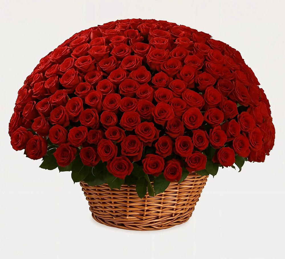 Премиум букет из: Розы в Ярославском