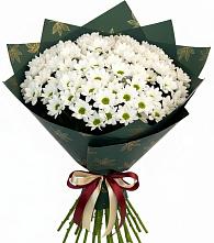 Букет цветов из:  Хризантемы в Ярославском