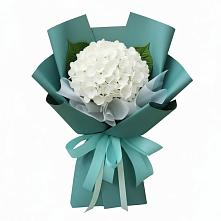 Букет цветов из:  Гортензия #REPLACE_PRED# Ярославском